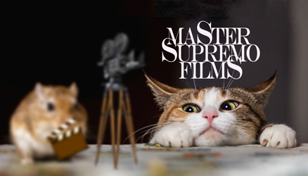 Películas de Máster Supremo